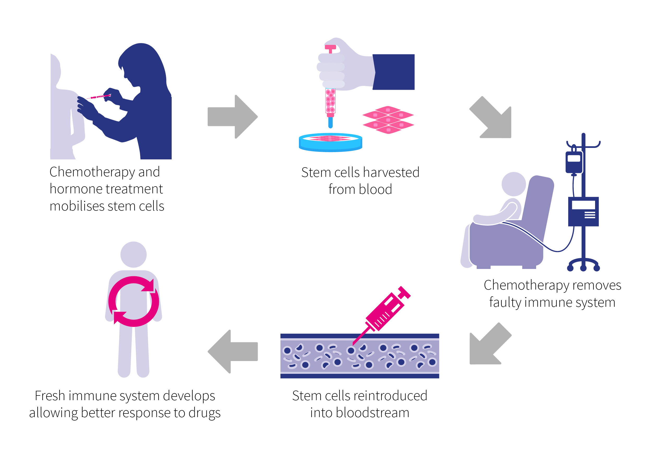 Crohn's stem cell clinical trial diagram