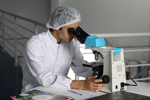 Postgraduate Research