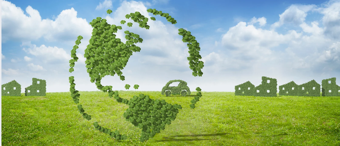 Energy law