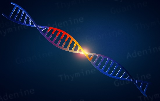 CRISPR gene editing