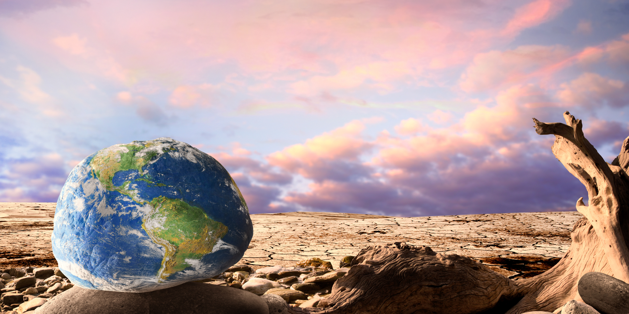 sky with earth on the plain surface with a dehydrated tree