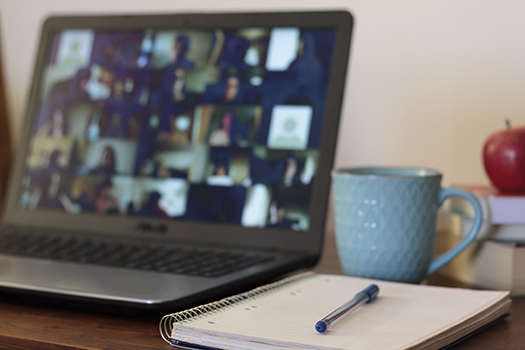 A webinar in progress
