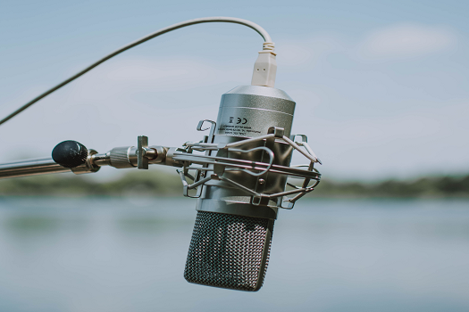 Podcasts                                   