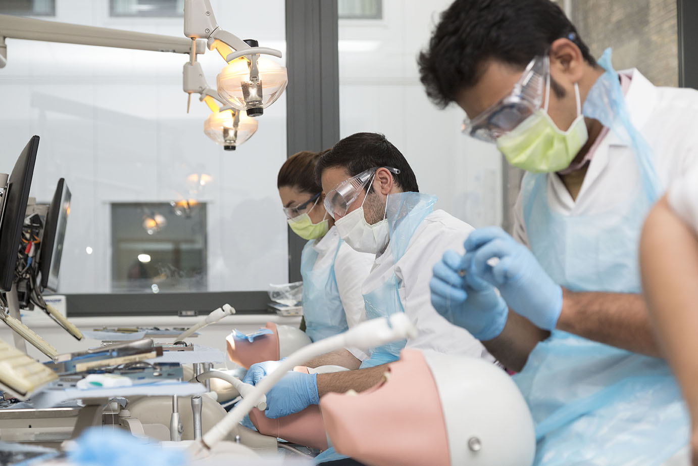 Oral Bioengineering