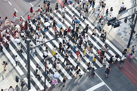 Population Health