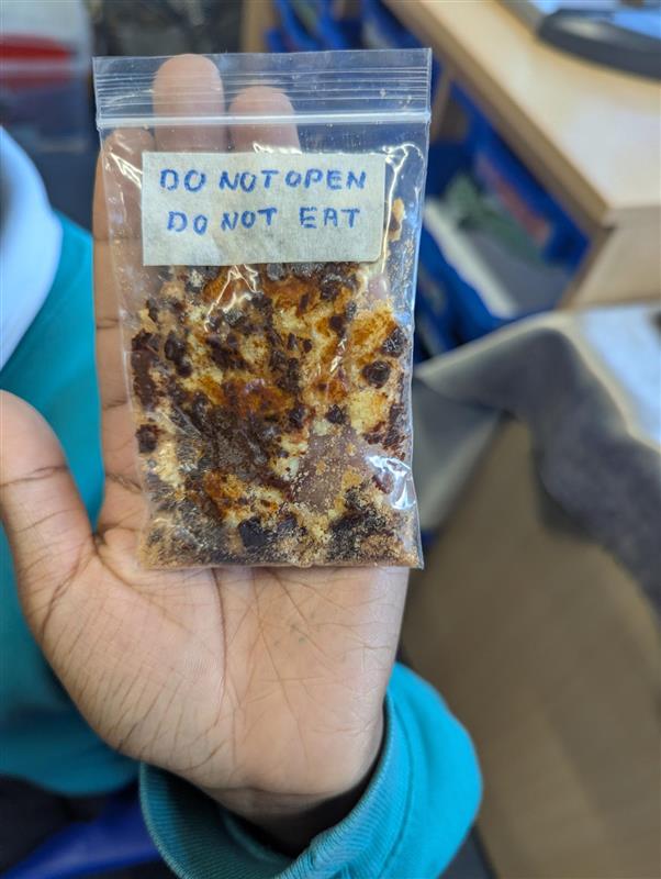 School Tasking participant holding a well-examined Jaffa Cake evidence bag