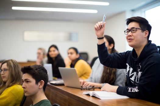 Undergraduate law