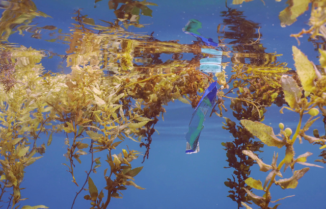 Plastic pollution could linger at ocean surfaces for over 100 years 