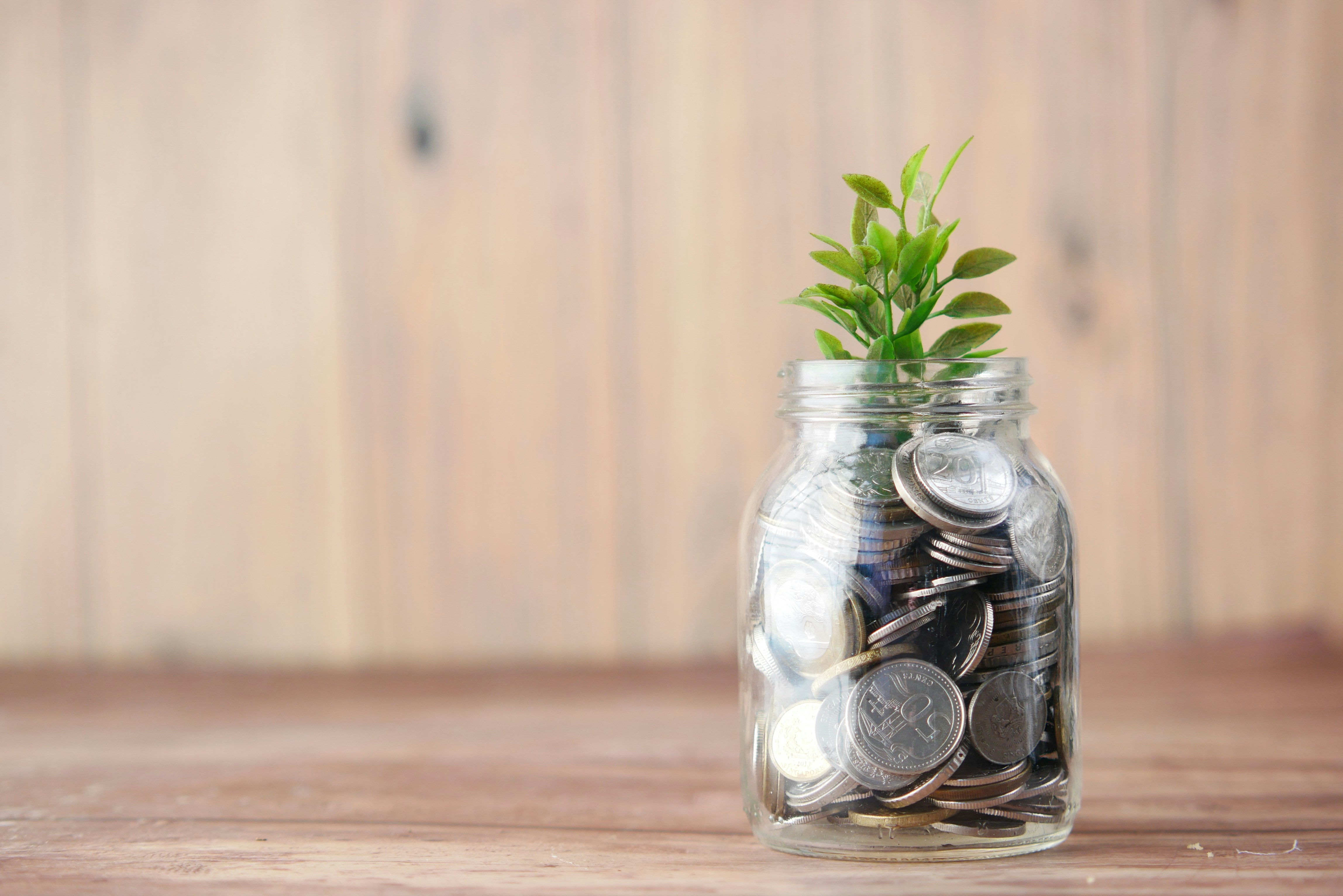 Ethical Investment