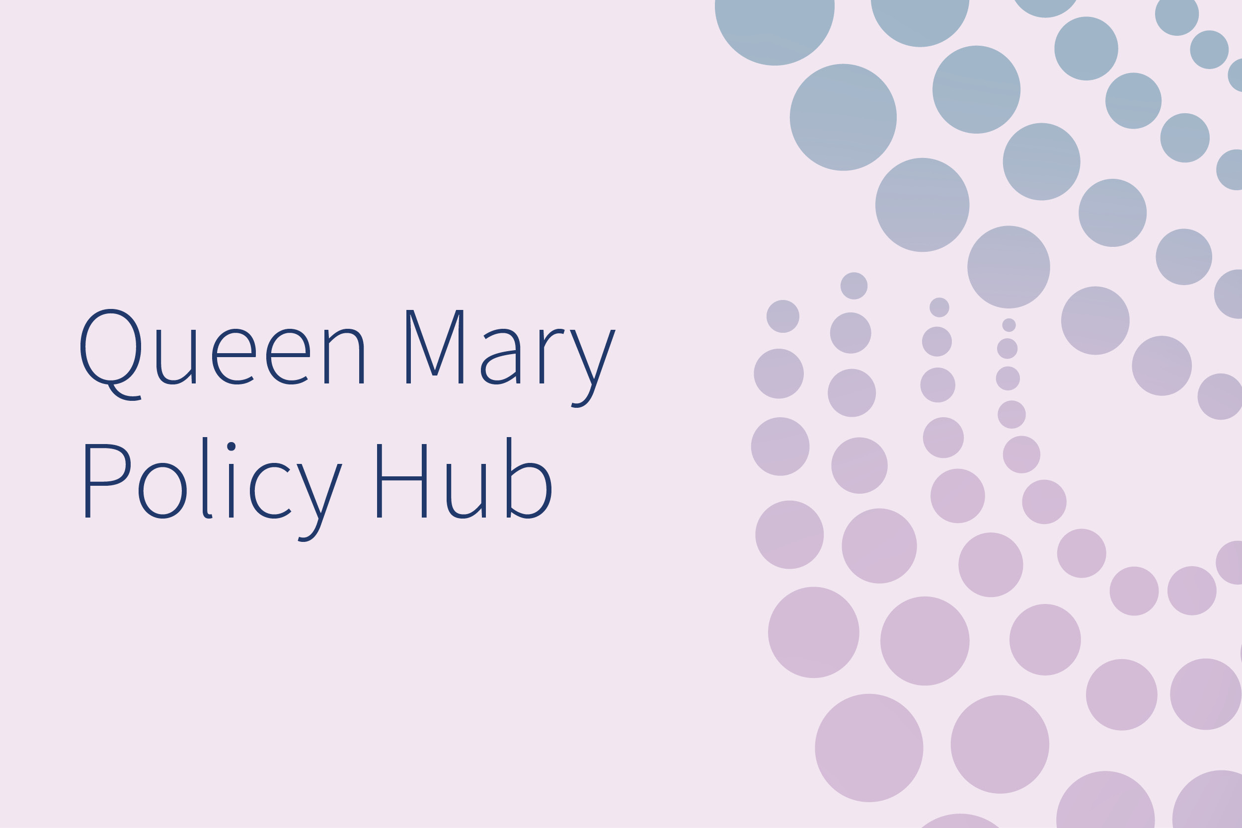 The text 'Queen Mary Policy Hub' against a pale lilac background.