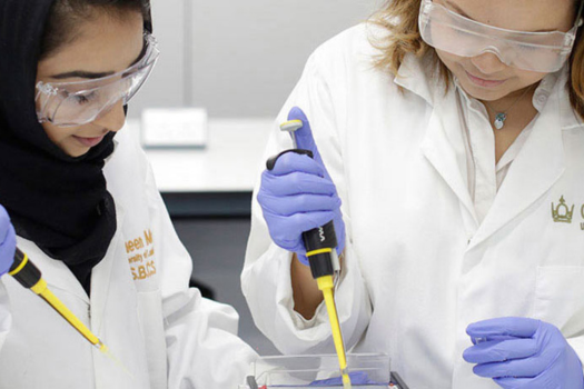 Biomedical Sciences
