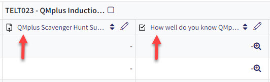 Screenshot of grader report focusing on two items within it.