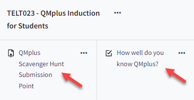 A screenshot taken from a grader report with red arrows pointing to options