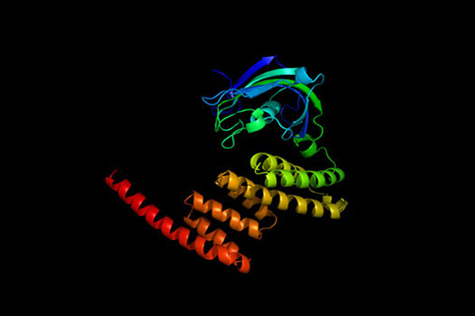 Endocrinology Research